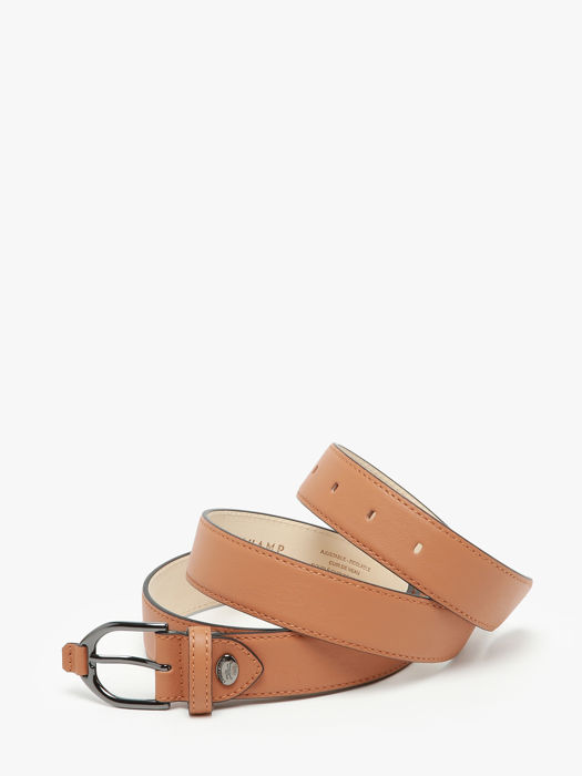 Longchamp Longchamp 3d Ceinture Marron