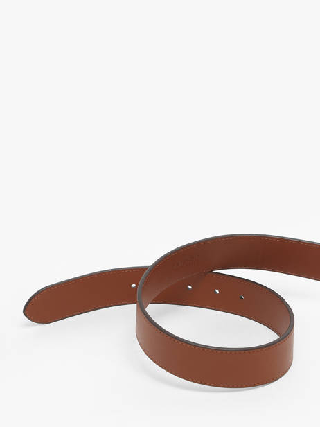 Ceinture Lauren ralph lauren Marron elmswood 12942212 vue secondaire 3