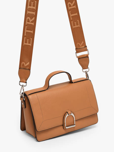 Medium Leather Altesse Crossbody Bag Etrier Yellow altesse EALT048M other view 2