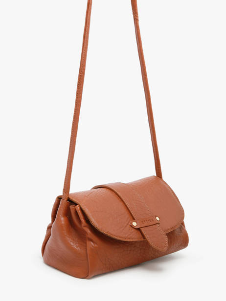 Shoulder Bag M Agnes Leather Etrier Brown agnes EAGC205M other view 4